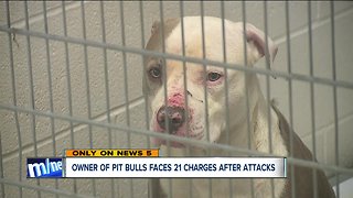 Owner of pit bulls faces 21 charges after attacks in Akron