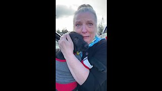 Mom Surprised With Christmas Puppy After Losing 1-Year-Old Labrador