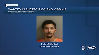 Man wanted for homicide in Puerto Rico arrested