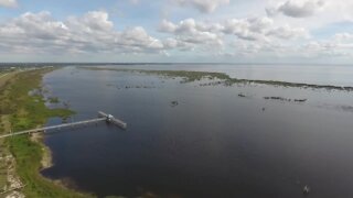 Would Trump or Biden be better for Everglades restoration?