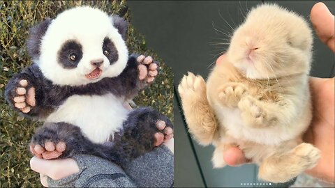 Cute baby animals Videos Compilation cute moment of the animals - Cutest Animals On Earth #2