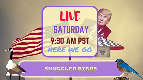 Saturday *LIVE* Smuggled Birds Edition