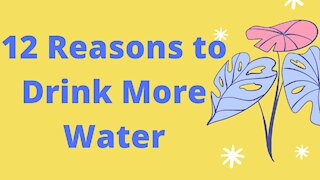 12 Reasons to Drink More Water