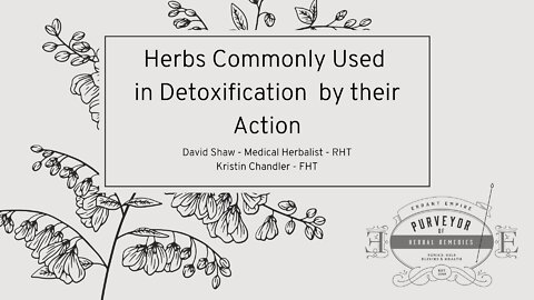 Herbs for DETOX - Learn their ACTION and USE; Function Herbal Medicine PODCAST