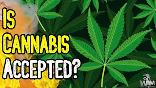 Is Cannabis FINALLY Accepted? - Industry Has Become As NORMAL As Coffee