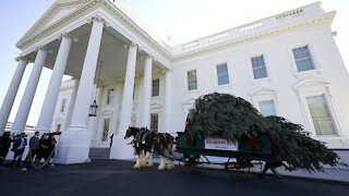 White House Plans Holiday Parties Despite Rising COVID-19 Cases
