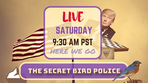 Saturday *LIVE* The Secret Bird Police Edition