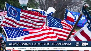 Addressing domestic terrorism