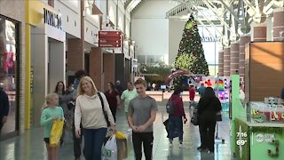 Shoppers turn out across Tampa Bay area for Black Friday deals