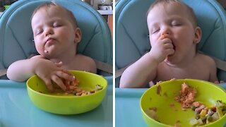 Sleepy baby continues to eat while falling asleep