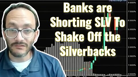 Rafi Farber: Banks are Shorting SLV To Shake Off the Silverbacks