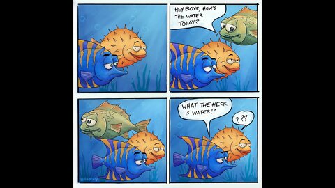 Fish Comic Strip Timelapse (Procreate)