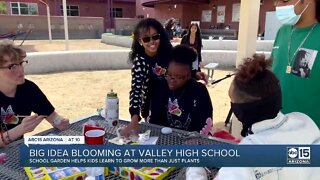 Your Valley Toyota Dealers are Helping Kids Go Places: Cesar Chavez High School Mindfulness Garden