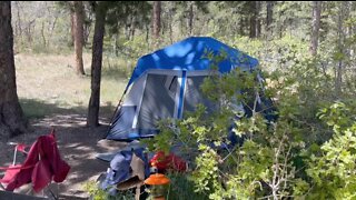 Nevada campgrounds experience higher volume of campers