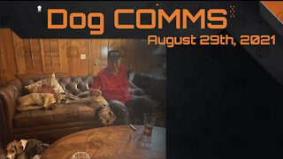 Dog COMMS -- August 29th, 2021