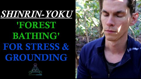 Shinrin-yoku: Forest Bathing & Attention Restoration Theory | Reconnecting to the Earth's Cycles