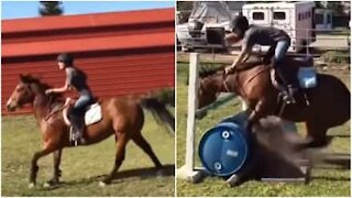 Quand un cheval refuse de sauter un obstacle