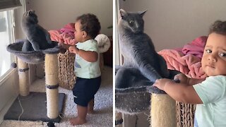 Awkward cat has no idea how to interact with curious baby