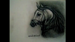 Horse Drawing Black and White
