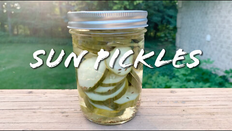 FOODIE || Farm-To-Table: Sun Pickles (2022)
