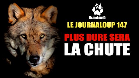 Le_JournaLoup_147 - Plus_Dure_Sera_La_Chute - Loup_Divergent 2022.09.17