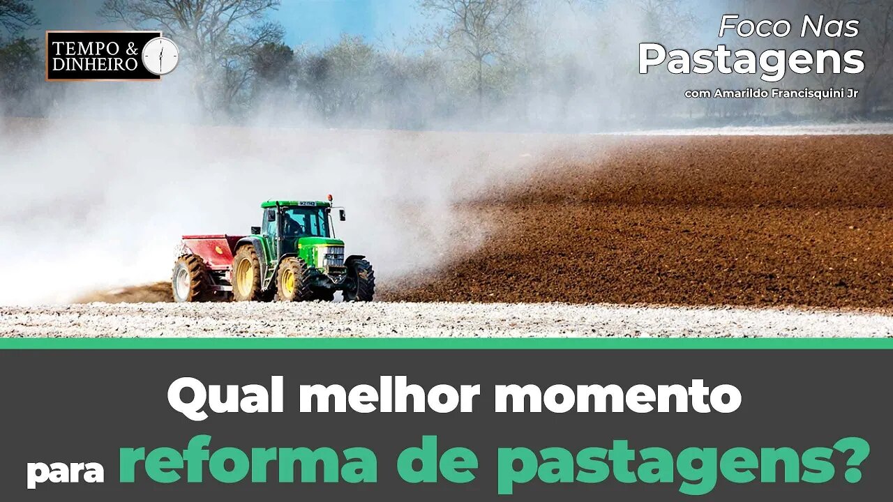 Qual melhor momento para reforma de pastagens? Veja um exemplo hoje em ...