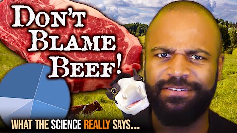 Don’t Blame Beef! Why Environmentalists are WRONG about meat.
