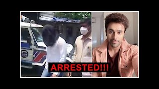 Pearl V Puri Arrested On Rape Charges