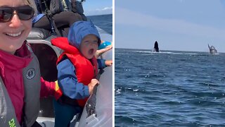 Whales miraculously show up after baby calls for them