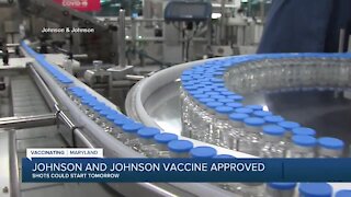 Johnson & Johnson vaccine approved