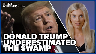 Donald Trump underestimated the Swamp