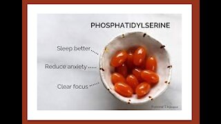 Phosphatidylserine Brain & Cell Benefits
