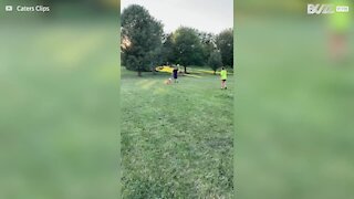 Cão colide contra rede de trave ao perseguir uma bola