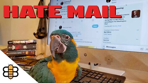 Hate Mail: Comedy Masterclass About Glue-Sniffing Parrots