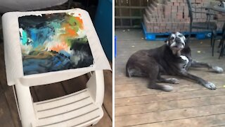 Super talented dog paints a masterpiece with peanut butter
