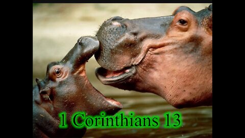 Read the Bible with me. 1 Corinthians 13 (NCV)