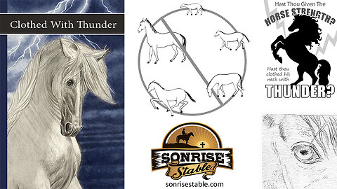 Sonrise Stable Book 3: Clothed With Thunder