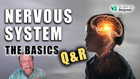 Nervous System Q&R (Timestamps Below)