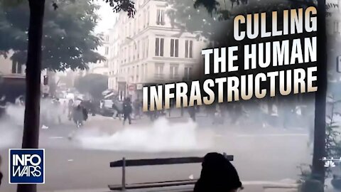 The Final Solution; Culling the Human Infrastructure that Runs Society