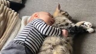 Baby preciously cuddles cat for nap time
