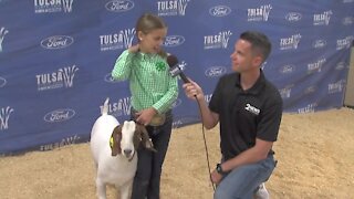 Girl talks about experience showing goats at Tulsa State Fair