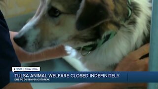 Tulsa Animal Welfare Closed Indefinitely
