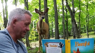 Wild Deer Enjoy Storytelling In The Forest