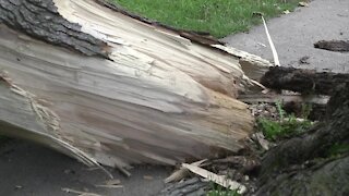 Hillsdale County still cleaning up after last week's severe weather