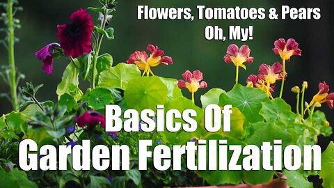 Basics Of Garden Fertilization | The Key To Great Gardens & Good Food Production