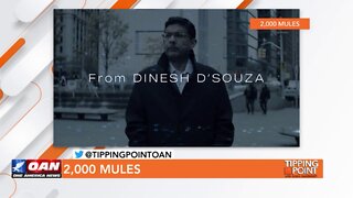 Tipping Point - Dinesh D’Souza - 2,000 Mules
