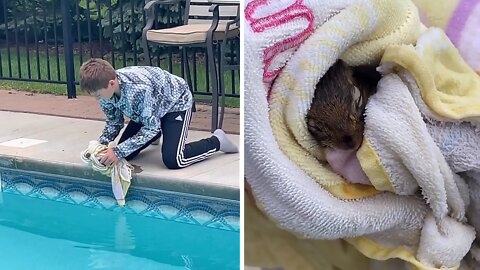 Kid Saves Chipmunk From Drowning In The Pool