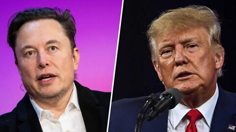 Elon Musk Says He Would Allow Trump Back On Twitter