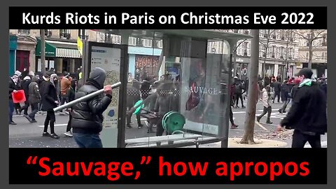Kurds Riot, torch cars in Paris after triple homicide