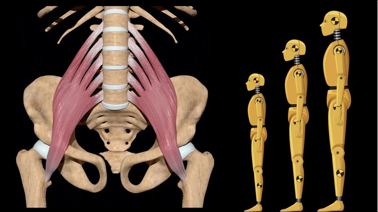 kneeling-hip-flexor-stretch-for-dummies-how-to-stretch-the-psoas